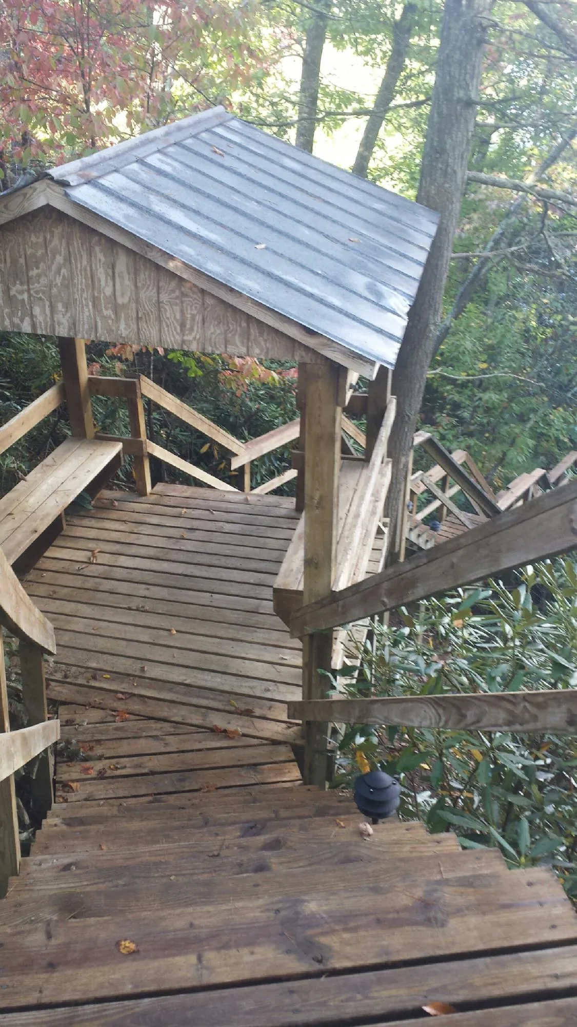Metal roofed shelter over wooden steps on a wooded walkway — Skylight Repair & Installation work by our crew in Rio